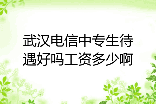 武汉电信中专生待遇好吗工资多少啊