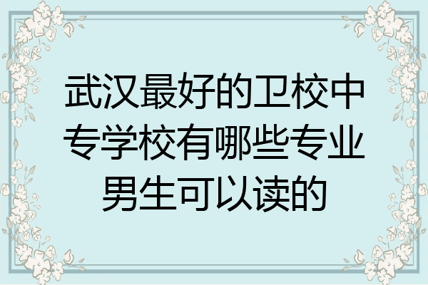武汉最好的卫校中专学校有哪些专业男生可以读的
