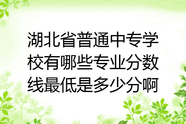 湖北省普通中专学校有哪些专业分数线最低是多少分啊