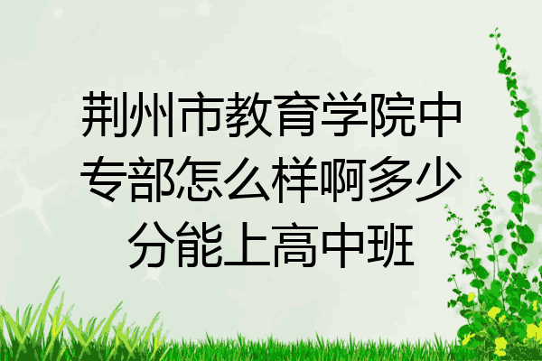 荆州市教育学院中专部怎么样啊多少分能上高中班
