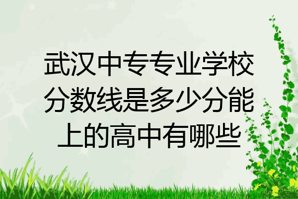 武汉中专专业学校分数线是多少分能上的高中有哪些