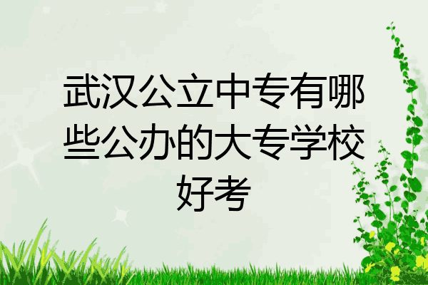 武汉公立中专有哪些公办的大专学校好考