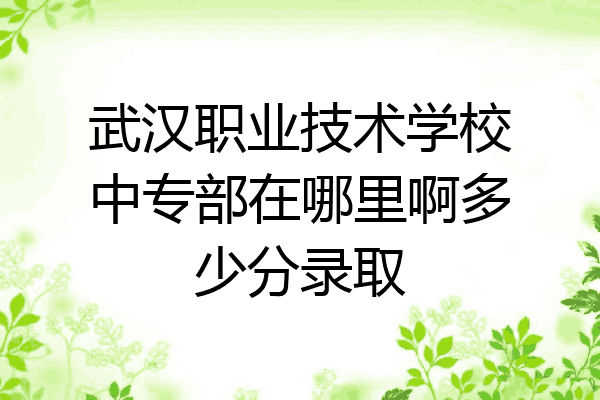 武汉职业技术学校中专部在哪里啊多少分录取