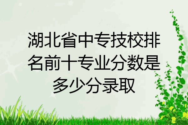湖北省中专技校排名前十专业分数是多少分录取