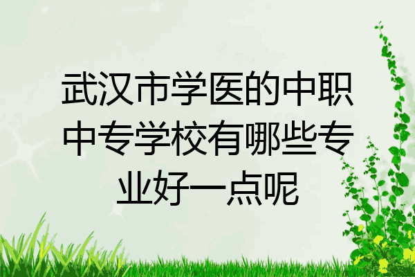 武汉市学医的中职中专学校有哪些专业好一点呢