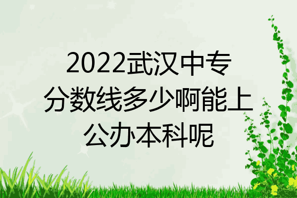 2022武汉中专分数线多少啊能上公办本科呢