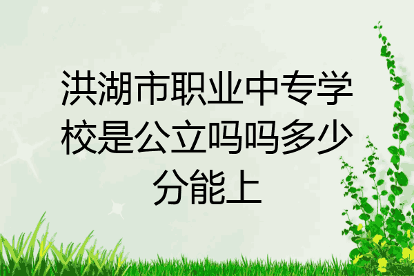 洪湖市职业中专学校是公立吗吗多少分能上