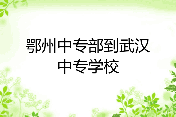 鄂州中专部到武汉中专学校