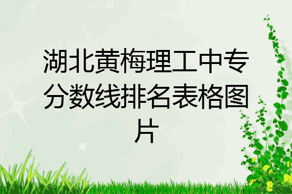 湖北黄梅理工中专分数线排名表格图片