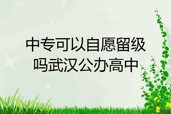 中专可以自愿留级吗武汉公办高中