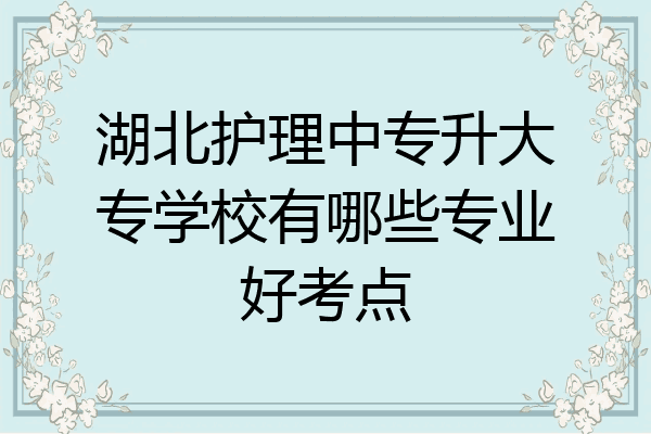 湖北护理中专升大专学校有哪些专业好考点