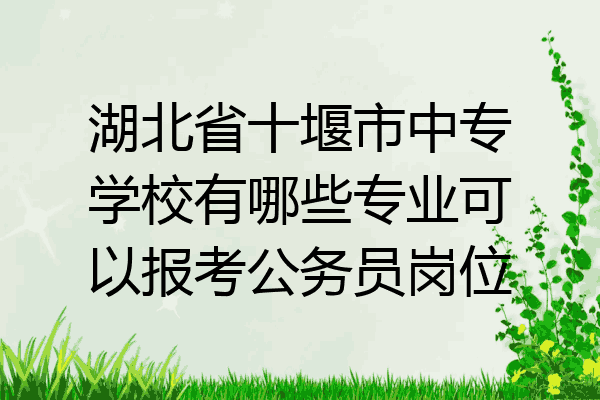 湖北省十堰市中专学校有哪些专业可以报考公务员岗位