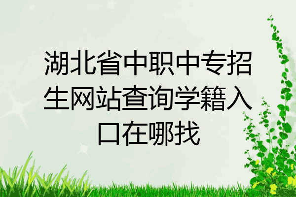 湖北省中职中专招生网站查询学籍入口在哪找