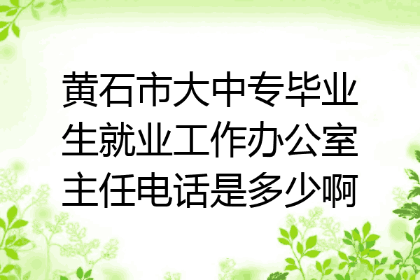 黄石市大中专毕业生就业工作办公室主任电话是多少啊