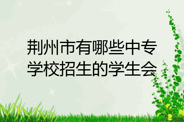 荆州市有哪些中专学校招生的学生会