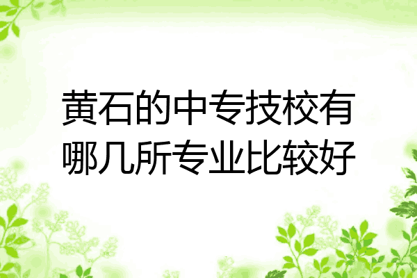黄石的中专技校有哪几所专业比较好
