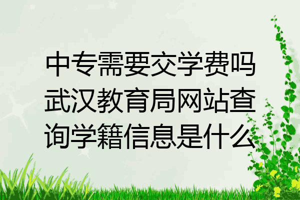 中专需要交学费吗武汉教育局网站查询学籍信息是什么