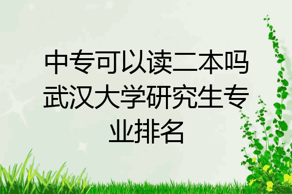 中专可以读二本吗武汉大学研究生专业排名