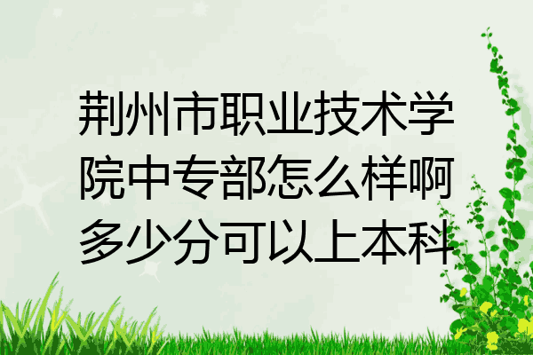 荆州市职业技术学院中专部怎么样啊多少分可以上本科