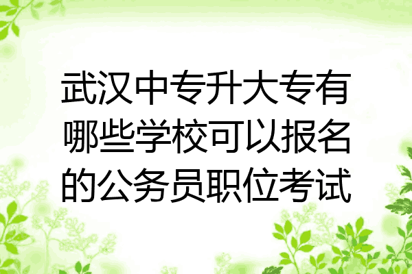武汉中专升大专有哪些学校可以报名的公务员职位考试