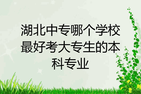 湖北中专哪个学校最好考大专生的本科专业