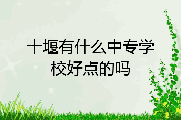 十堰有什么中专学校好点的吗