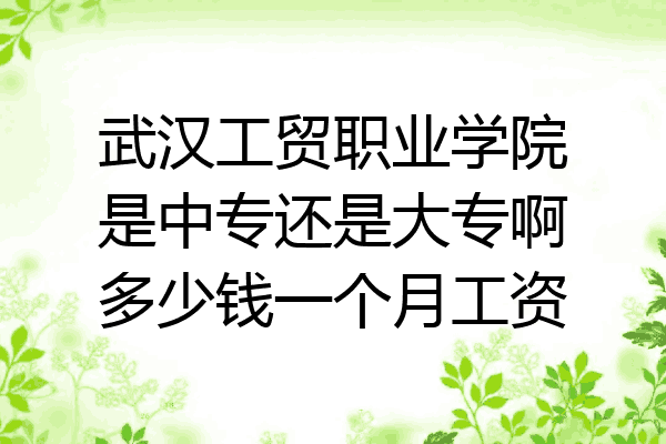 武汉工贸职业学院是中专还是大专啊多少钱一个月工资