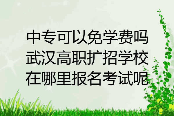 中专可以免学费吗武汉高职扩招学校在哪里报名考试呢