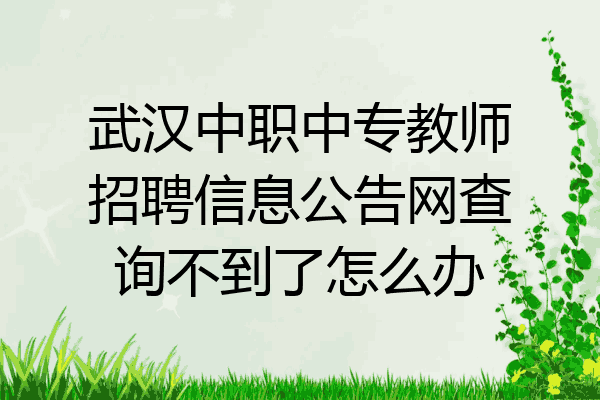 武汉中职中专教师招聘信息公告网查询不到了怎么办