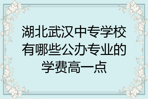 湖北武汉中专学校有哪些公办专业的学费高一点
