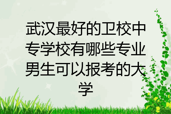 武汉最好的卫校中专学校有哪些专业男生可以报考的大学