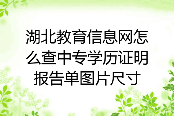 湖北教育信息网怎么查中专学历证明报告单图片尺寸