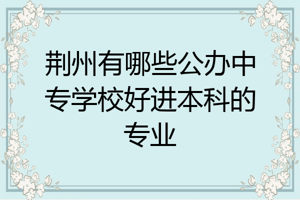 荆州有哪些公办中专学校好进本科的专业