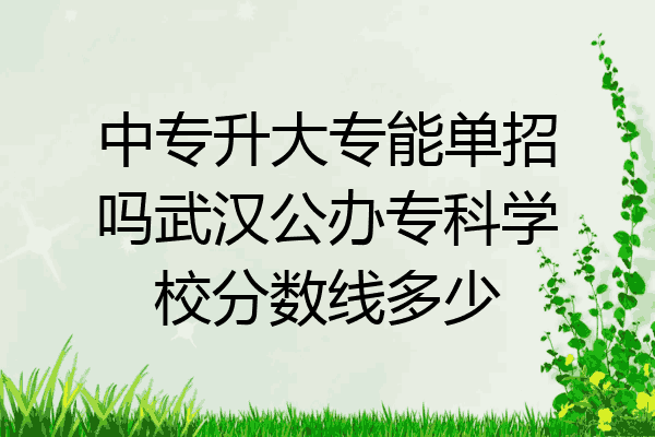 中专升大专能单招吗武汉公办专科学校分数线多少