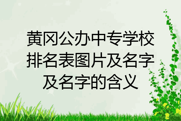 黄冈公办中专学校排名表图片及名字及名字的含义