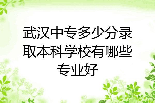 武汉中专多少分录取本科学校有哪些专业好