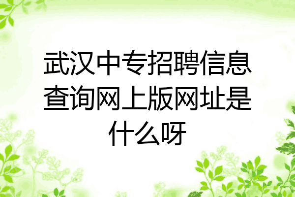 武汉中专招聘信息查询网上版网址是什么呀