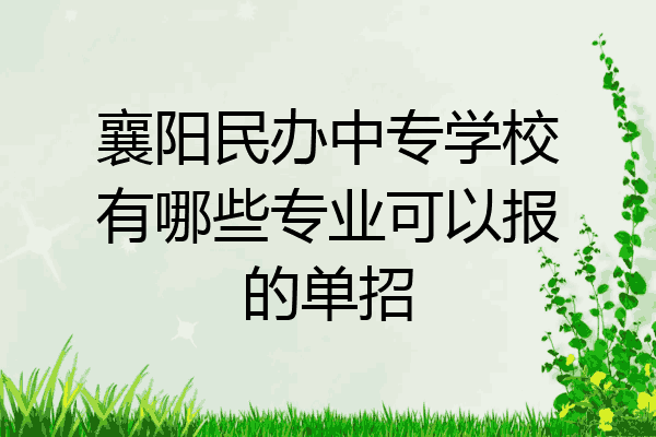 襄阳民办中专学校有哪些专业可以报的单招