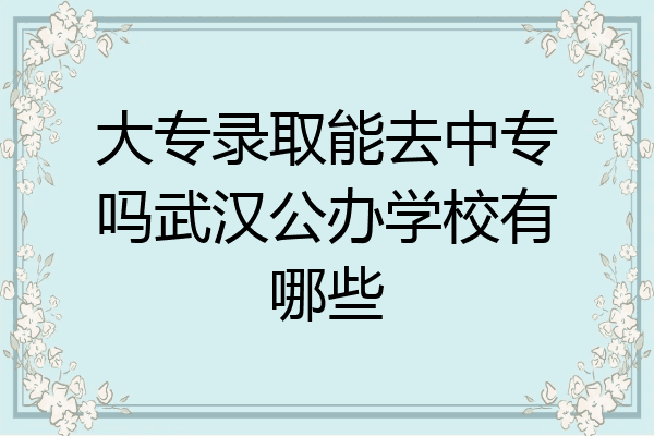 大专录取能去中专吗武汉公办学校有哪些