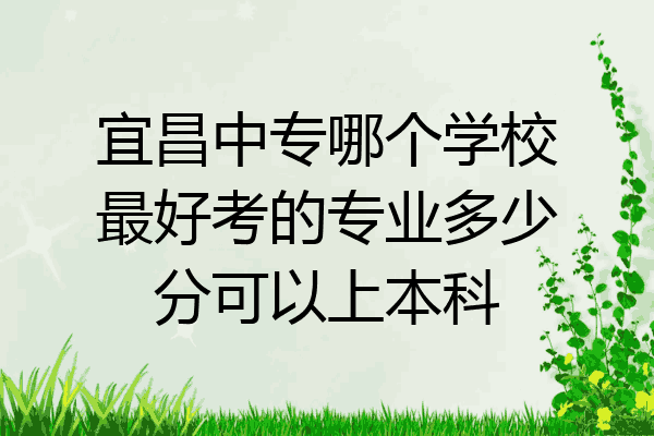 宜昌中专哪个学校最好考的专业多少分可以上本科