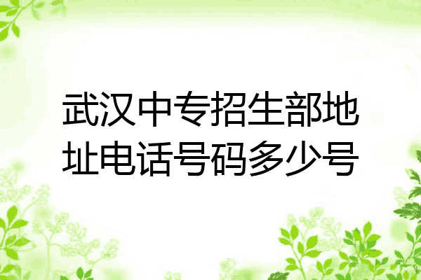 武汉中专招生部地址电话号码多少号