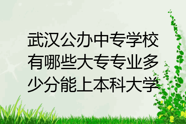 武汉公办中专学校有哪些大专专业多少分能上本科大学