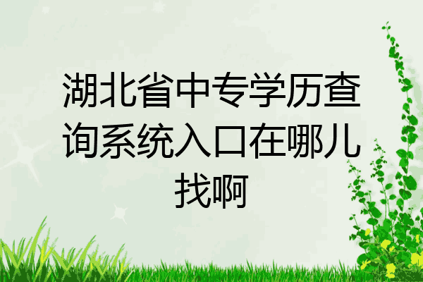 湖北省中专学历查询系统入口在哪儿找啊