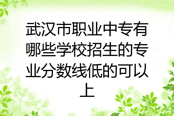 武汉市职业中专有哪些学校招生的专业分数线低的可以上
