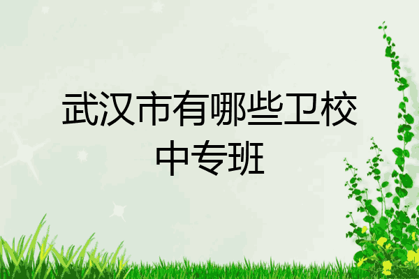 武汉市有哪些卫校中专班