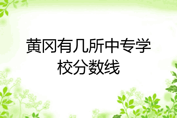 黄冈有几所中专学校分数线