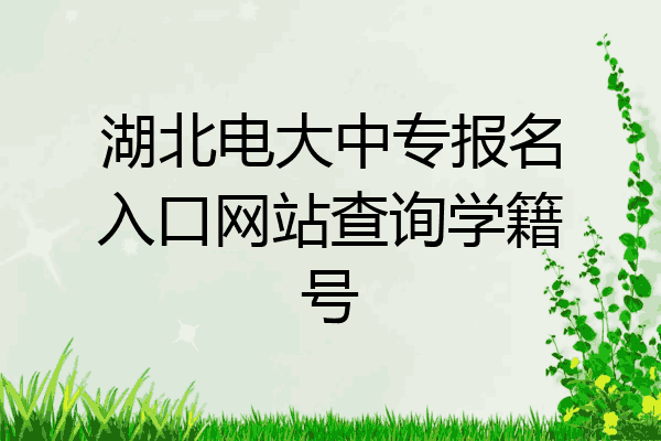 湖北电大中专报名入口网站查询学籍号
