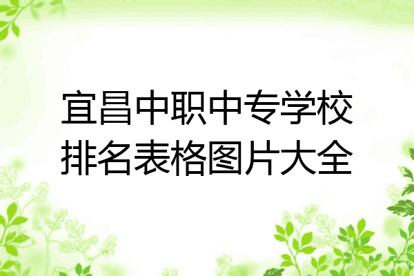 宜昌中职中专学校排名表格图片大全