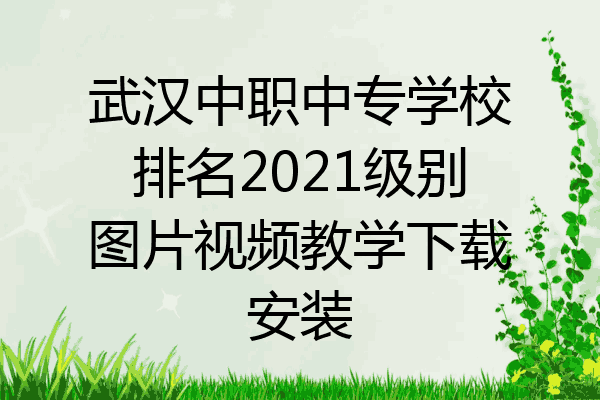 武汉中职中专学校排名2021级别图片视频教学下载安装