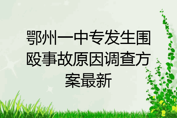 鄂州一中专发生围殴事故原因调查方案最新